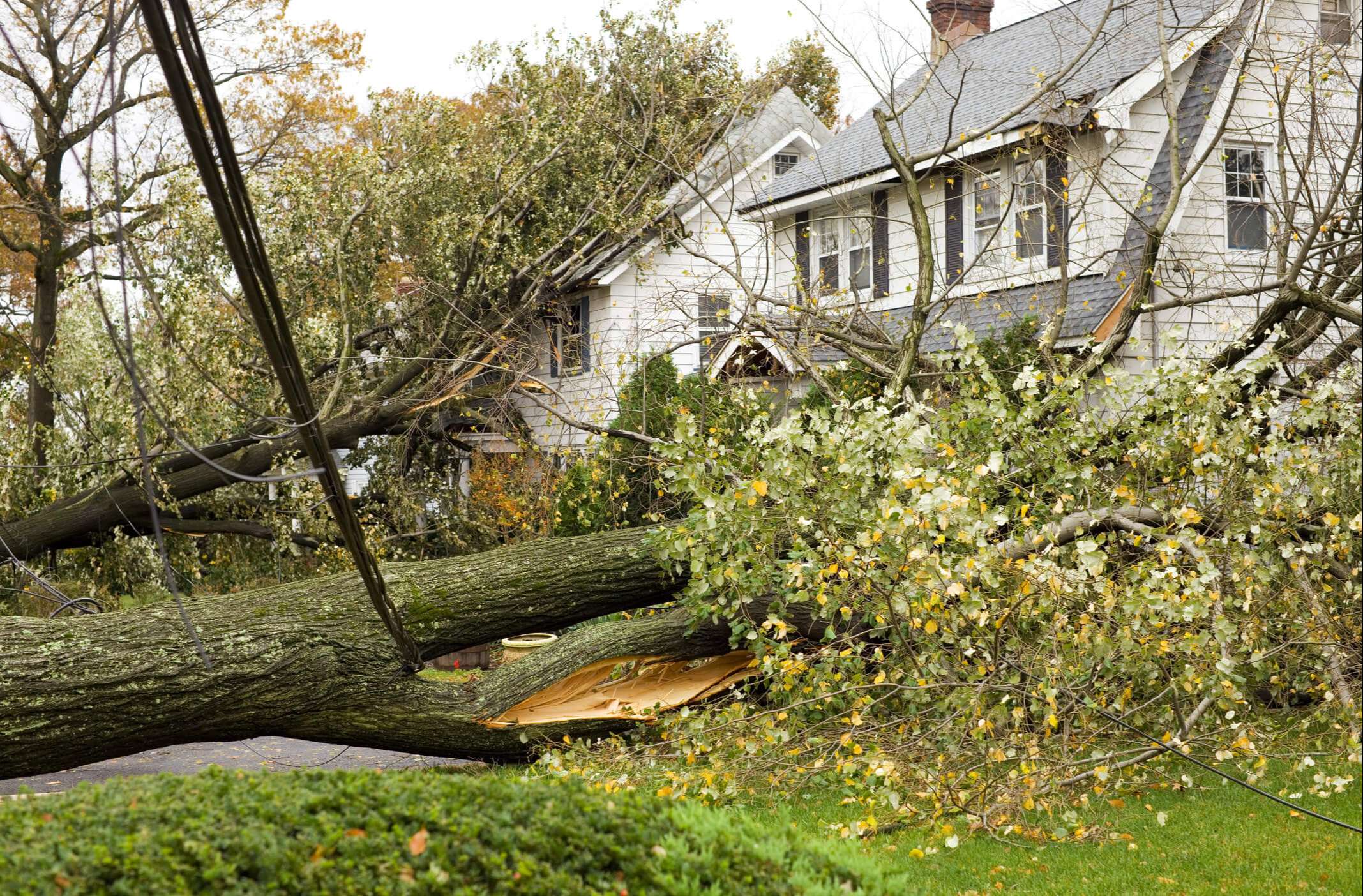 Find The Best Storm Damage Restoration in the Baltimore, MD Area